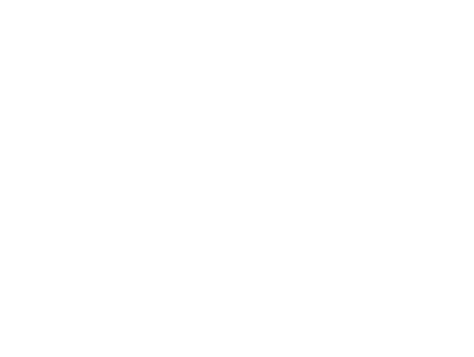 The Elky